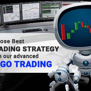 ibnbookkeeping services